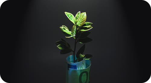 صناديق الطرح الخاص